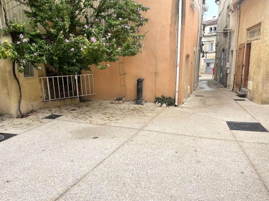 Appartement T1 Renove Gigean Zewnętrze zdjęcie